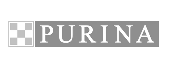 Branding Design Client
